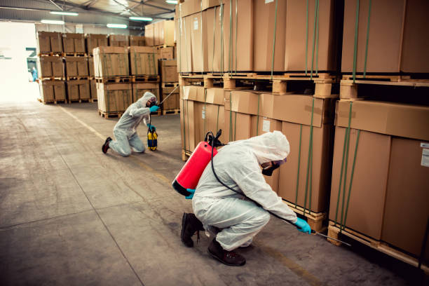 Reliable Pascoag, RI Pest Control Solutions