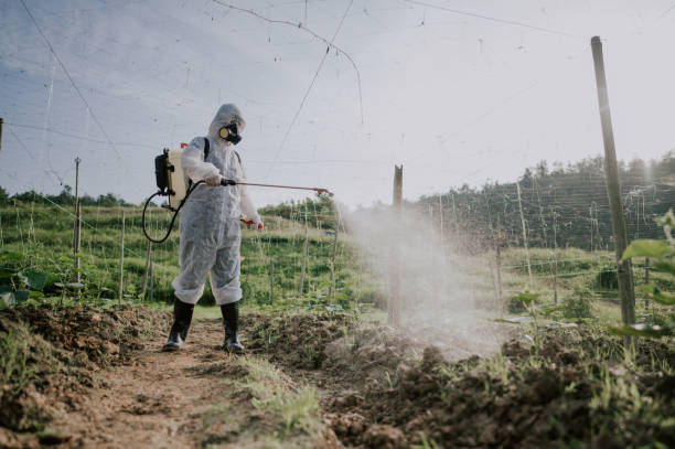 Best Affordable Pest Control Services  in Pascoag, RI