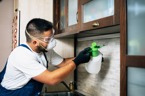Best Cockroach Control Services  in Pascoag, RI