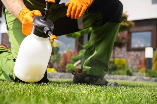Best Residential Pest Control  in Pascoag, RI