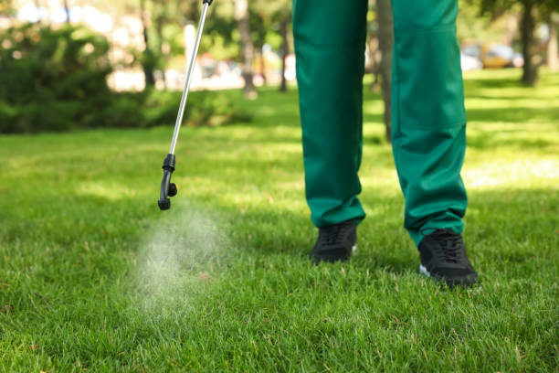 Best Ant Control Services  in Pascoag, RI