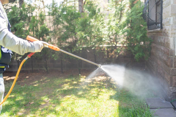 Best Termite Control Services  in Pascoag, RI