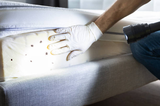 Best Pest Inspection Near Me  in Pascoag, RI