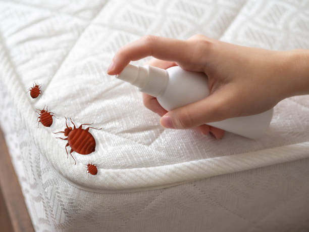 Reliable Pascoag, RI Pest Control Solutions