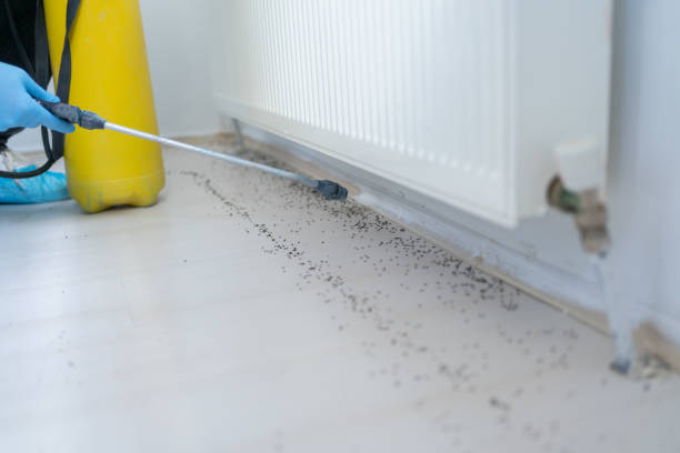Pest Prevention Services in Pascoag, RI