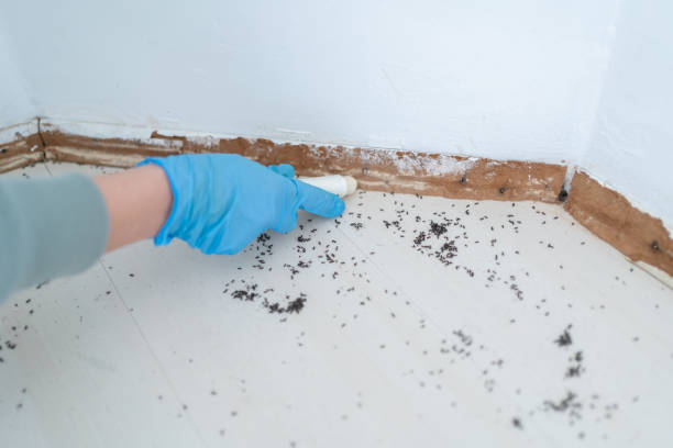 Pest Prevention Services in Pascoag, RI